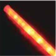 Traffic Baton ST-700R