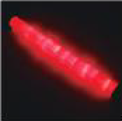 Traffic Baton ST-700RAA-1